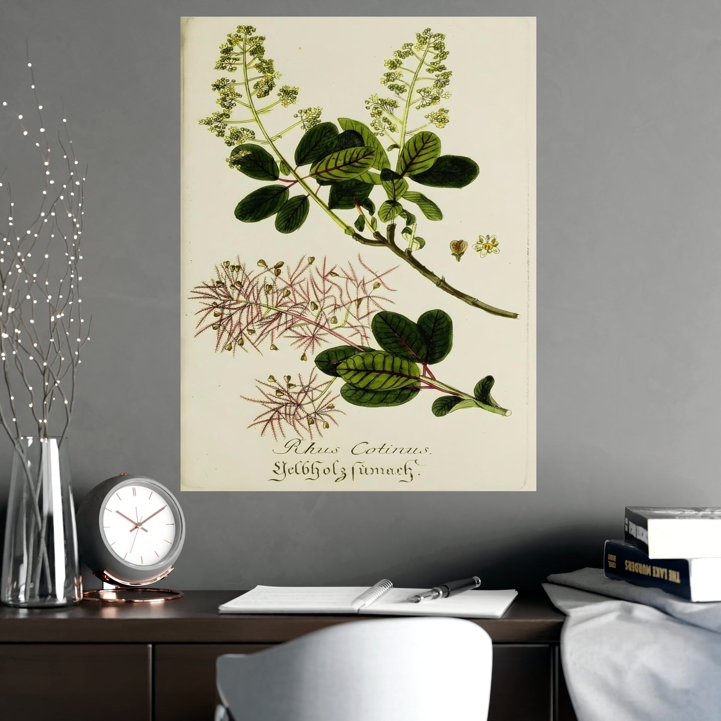 Cotinus Wig Tree Wall Art Prints