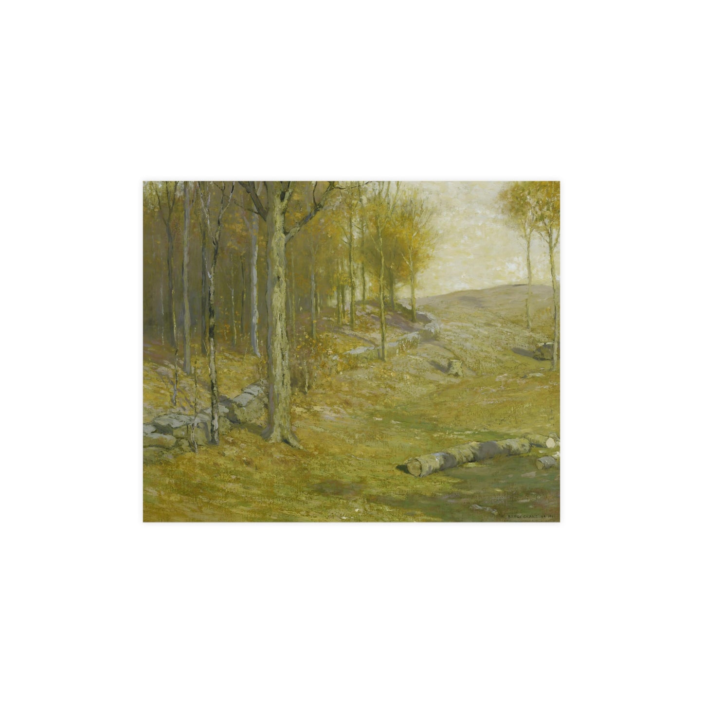 Autumn in the Forest