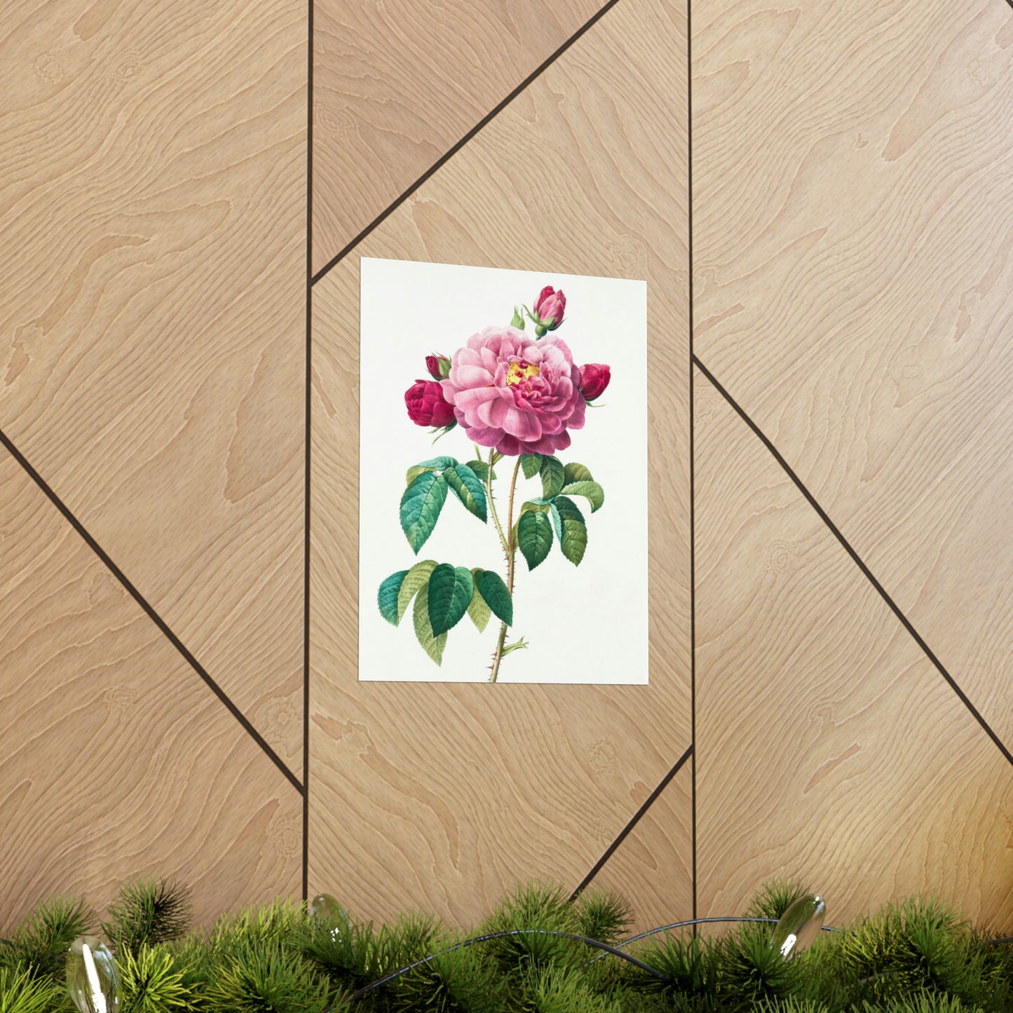 Bright Pink Rose with 2 Buds