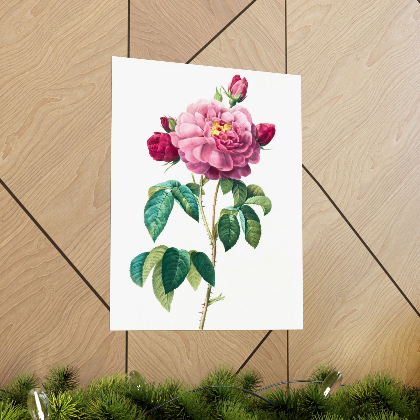Bright Pink Rose with 2 Buds