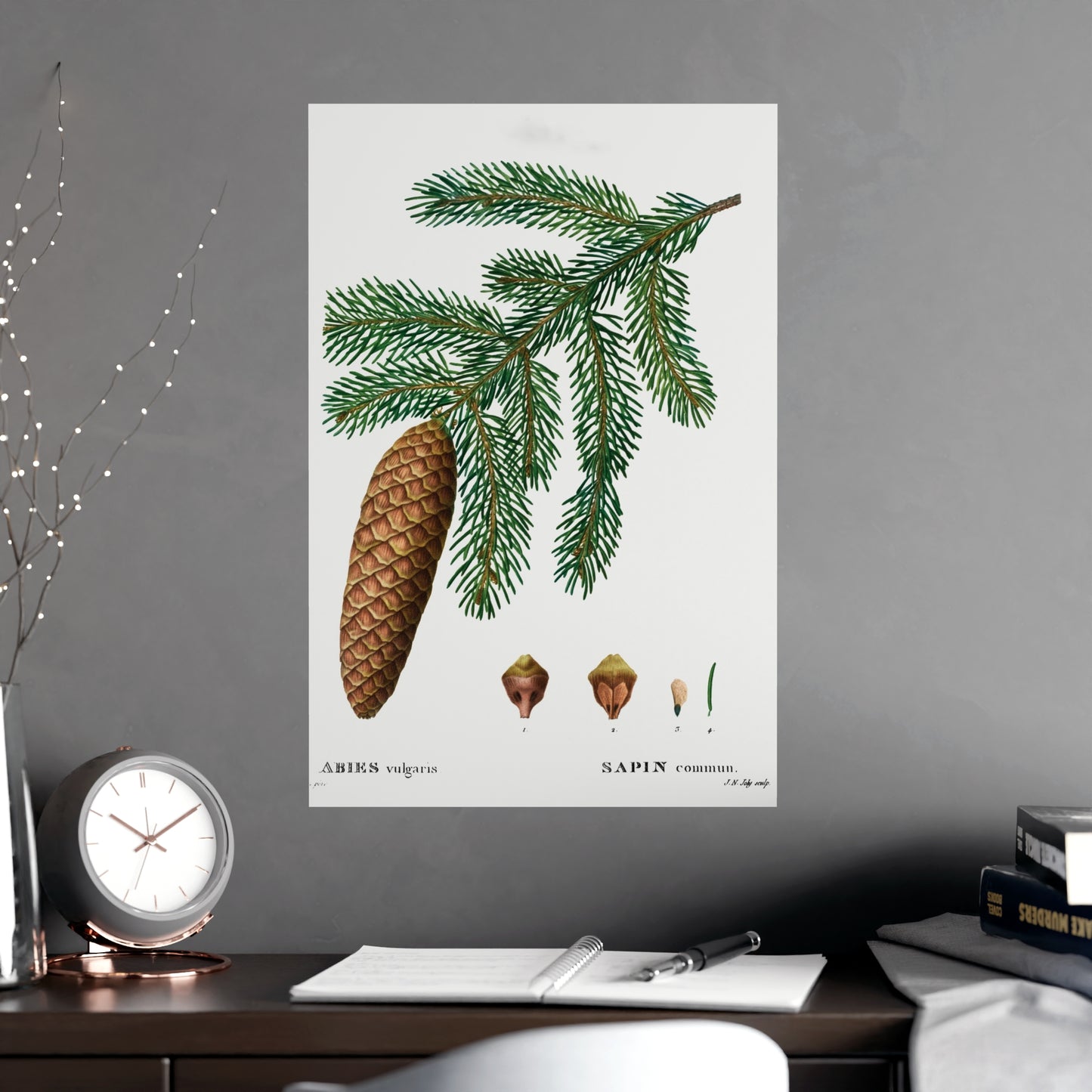 Acorn 3