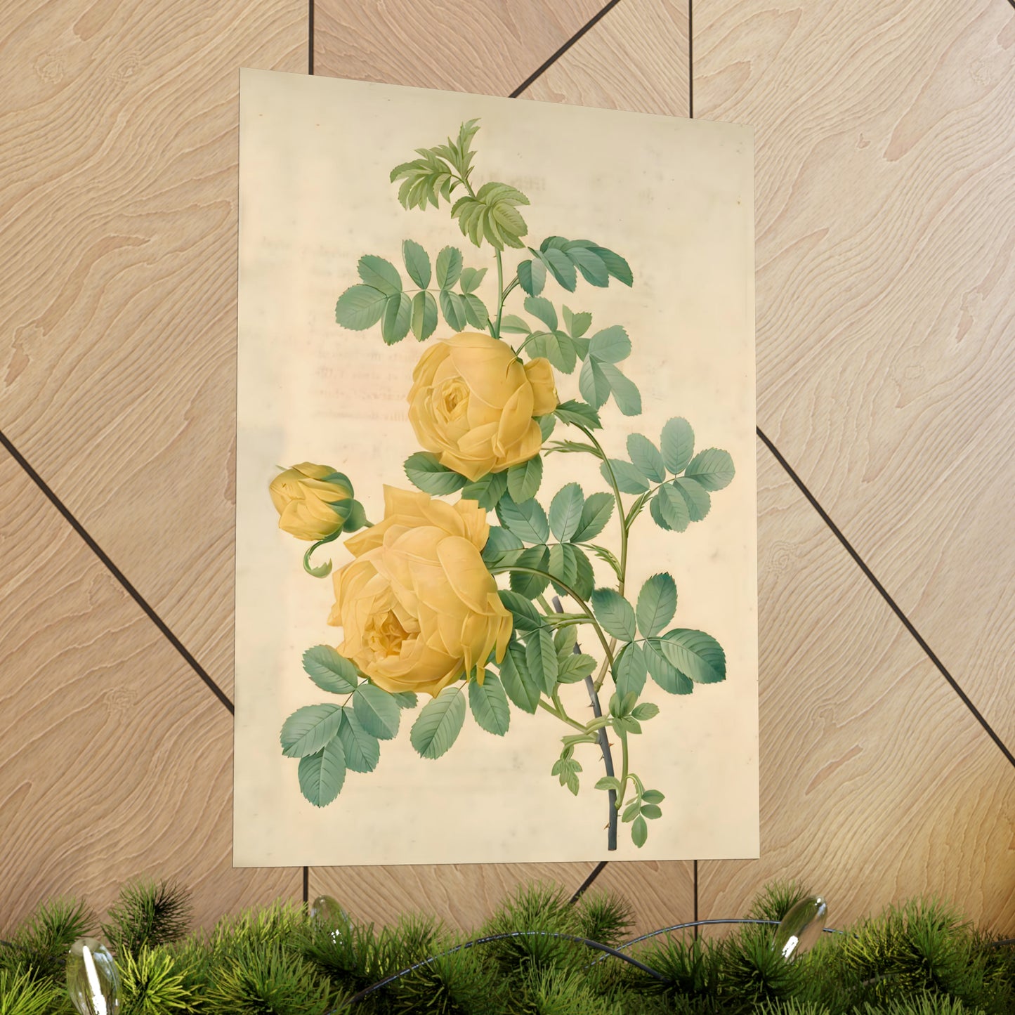 Yellow Rose Bush
