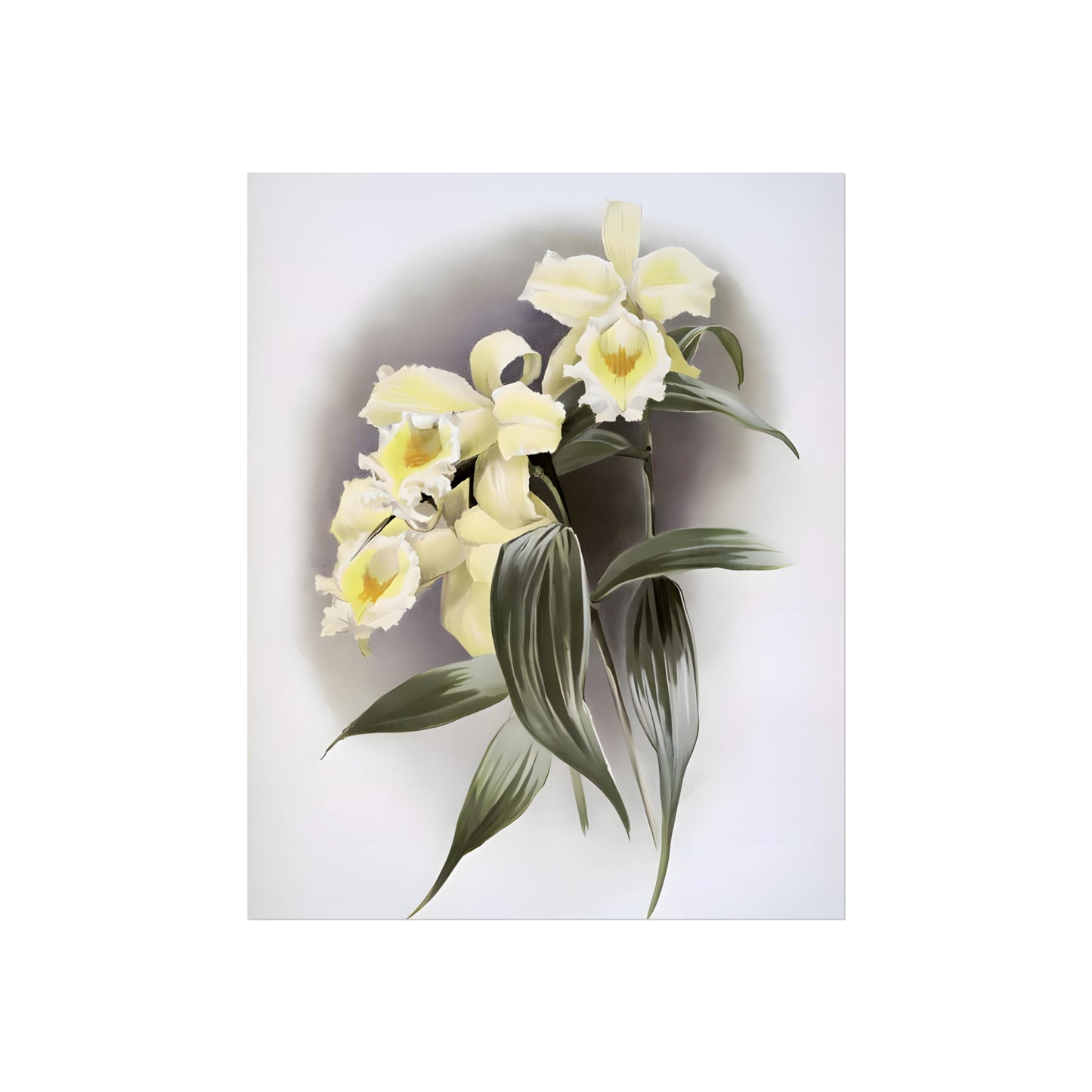Vintage White Orchids