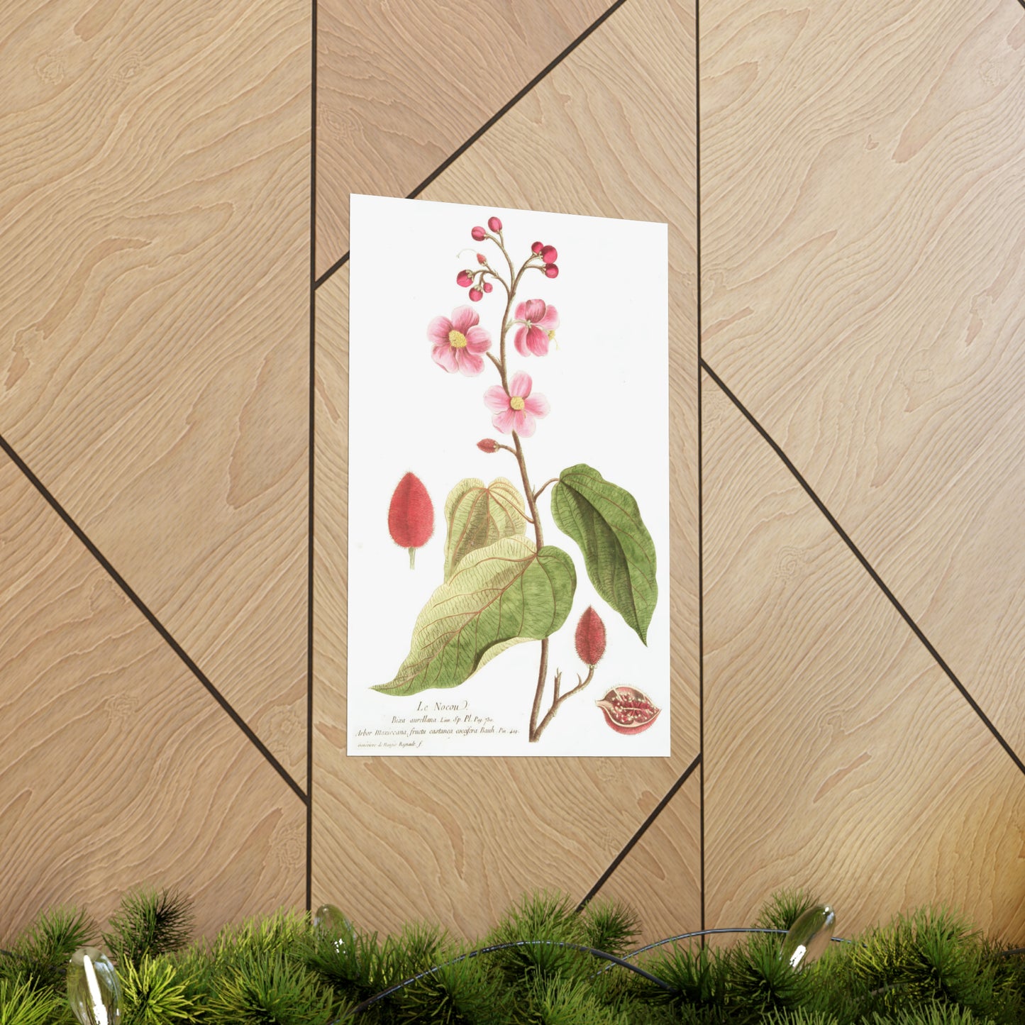 Le Nocou Flower Wall Print