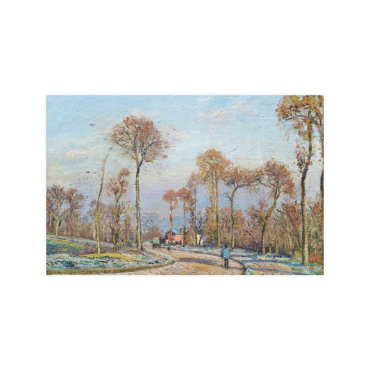 Trees During Fall Season
