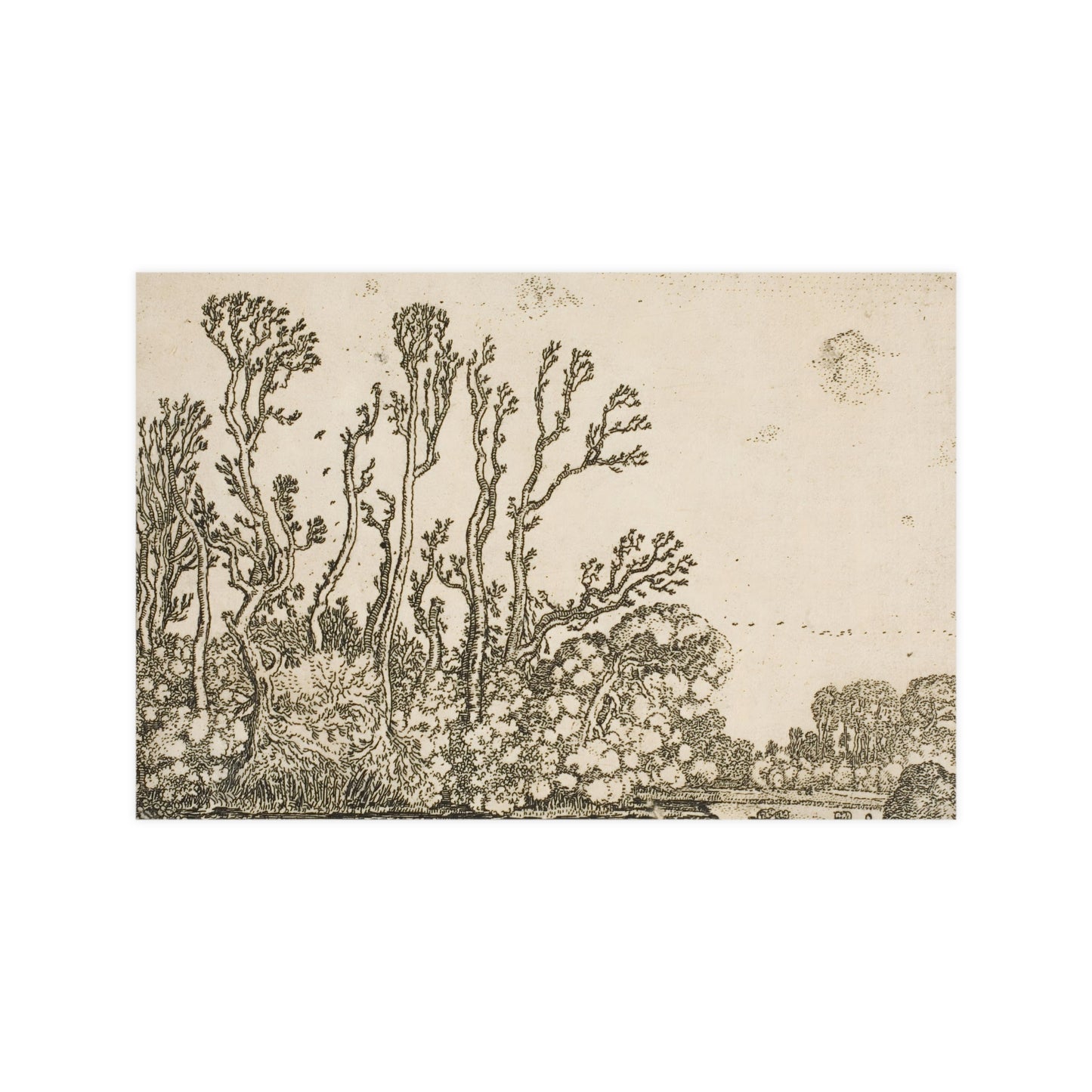 Old Trees Landscape Wall Print