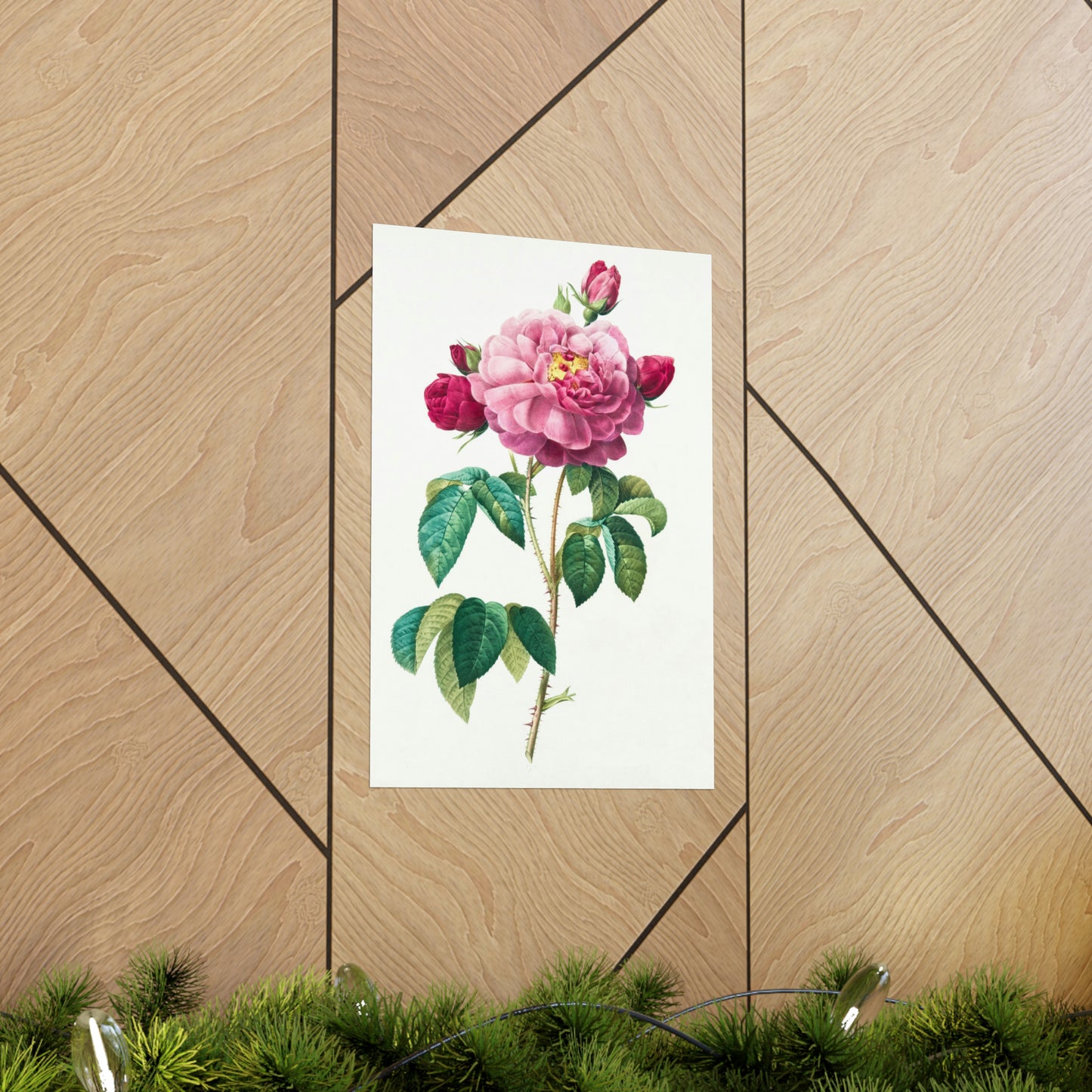 Bright Pink Rose with 2 Buds