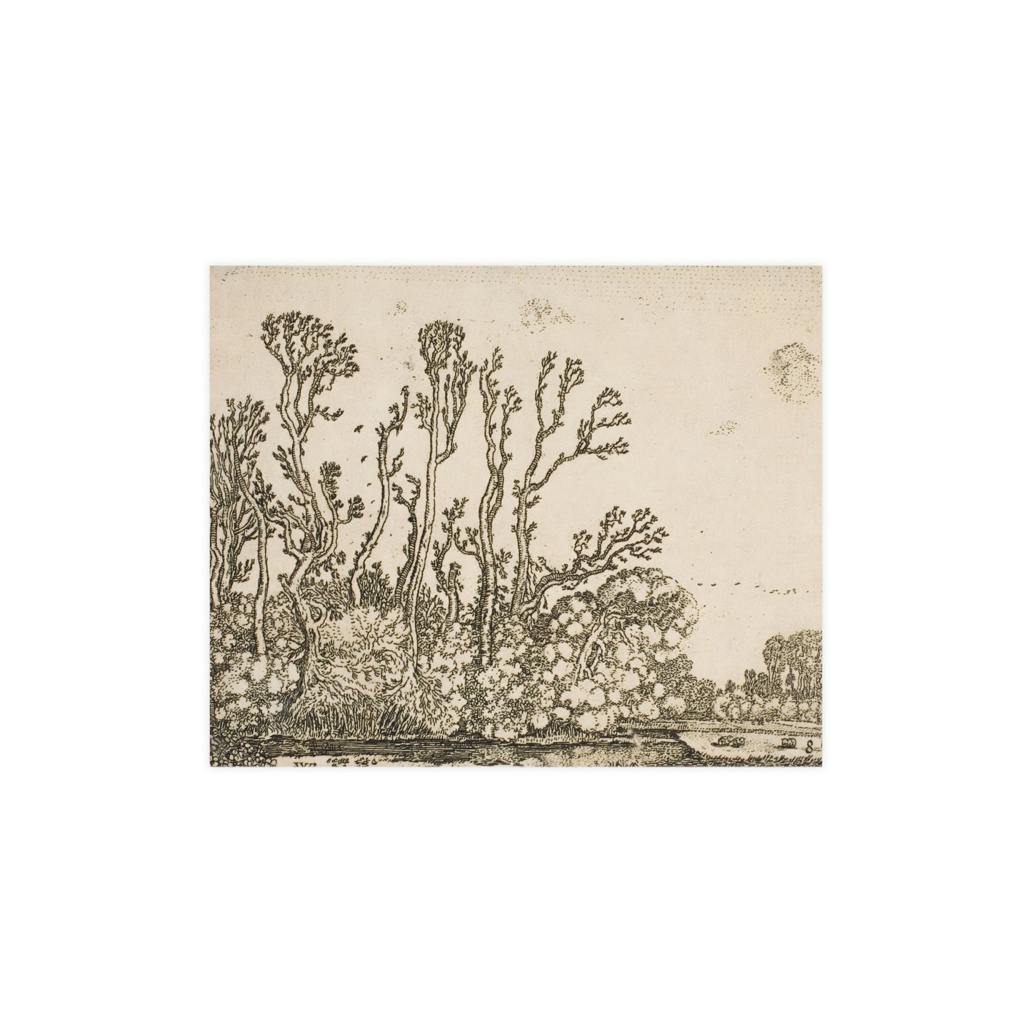 Old Trees Landscape Wall Print