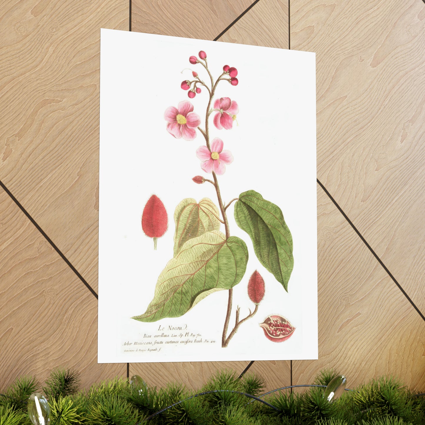 Le Nocou Flower Wall Print