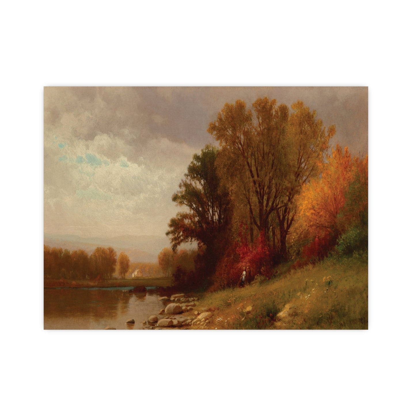 Fall Foliage at Sunset