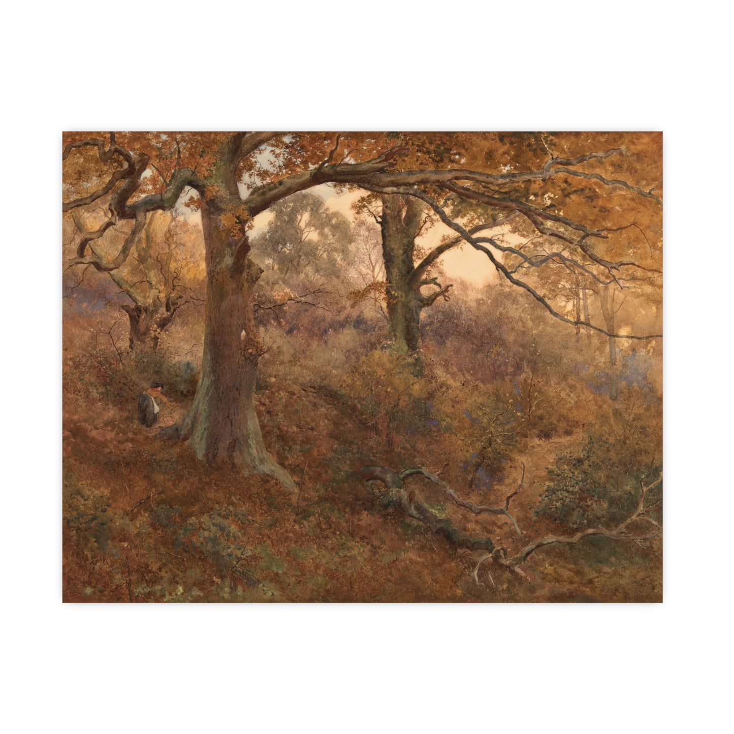 Forest Landscape