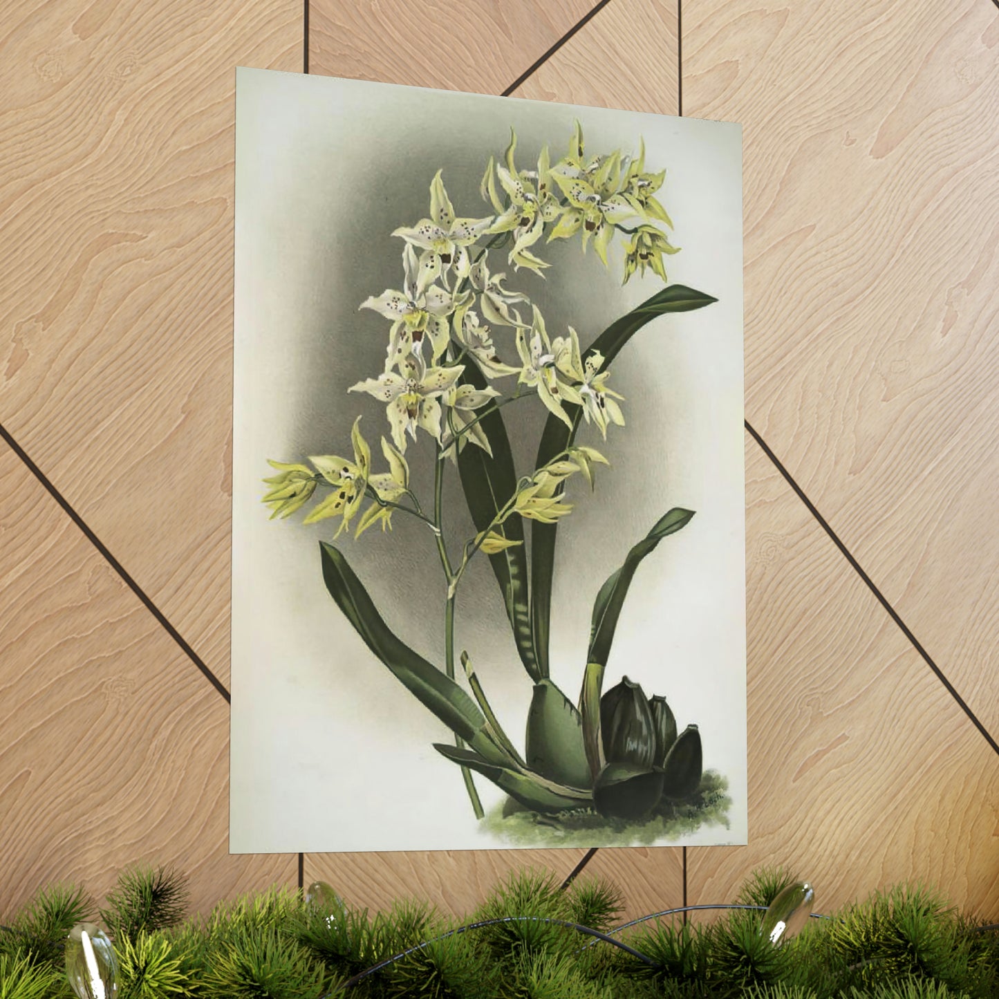 Full Bloom White Orchids Wall Print