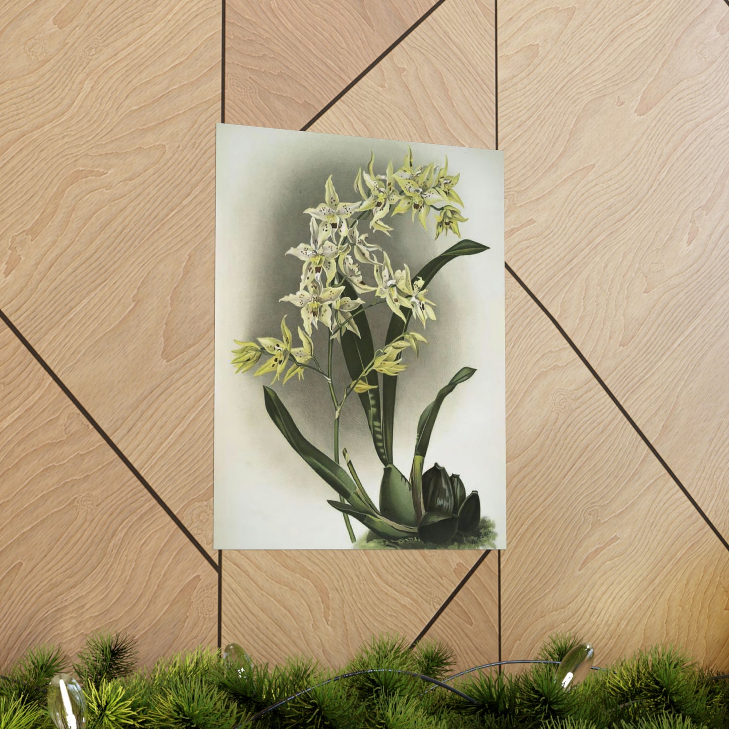Full Bloom White Orchids Wall Print