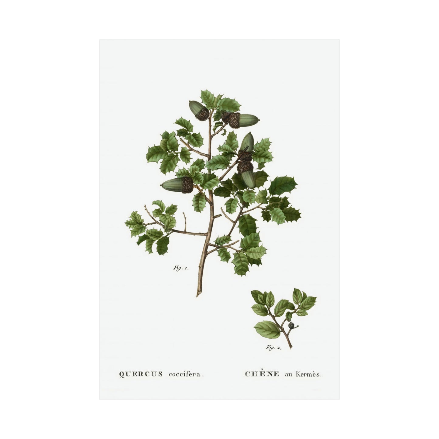 Fall Acorn Wall Art 10