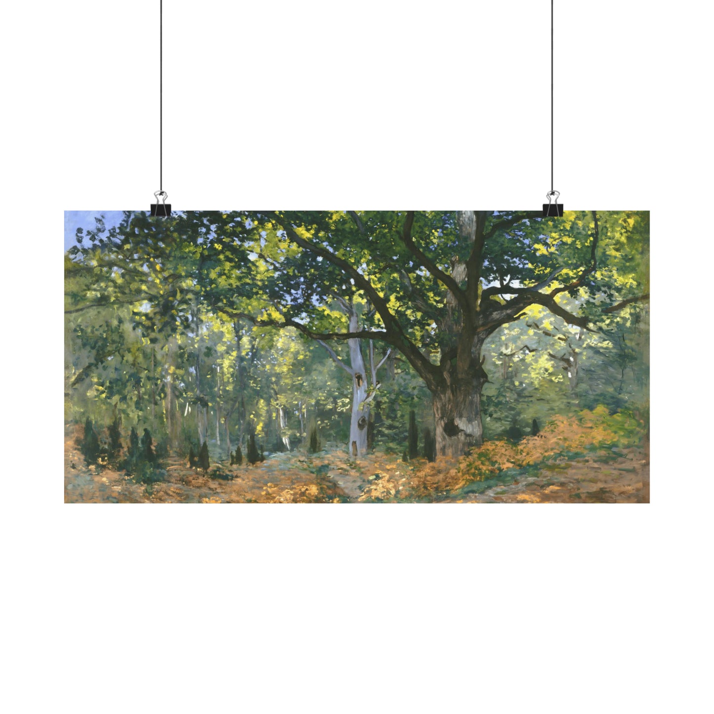 The Bodmer Oak, Fontainebleau Forest