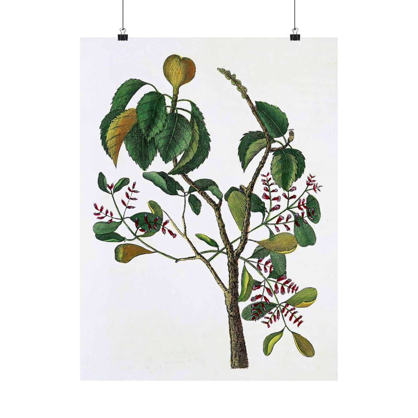Yellow Tree Branch
