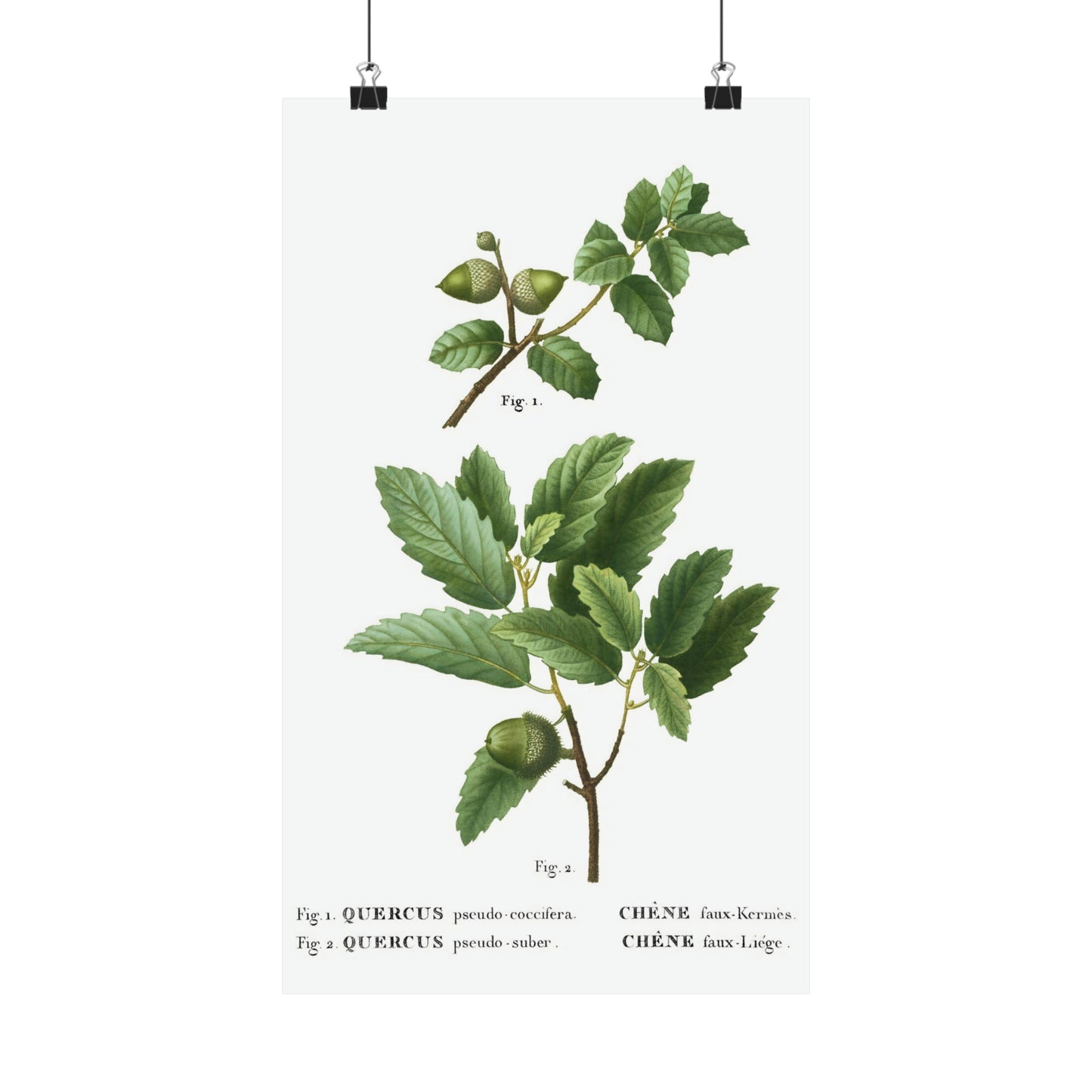 Fall Acorn Wall Art 4