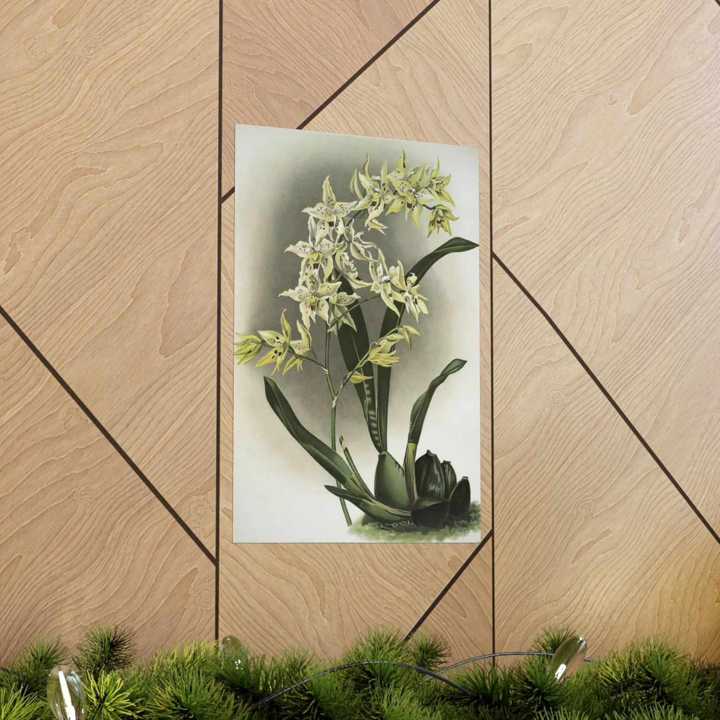 Full Bloom White Orchids Wall Print