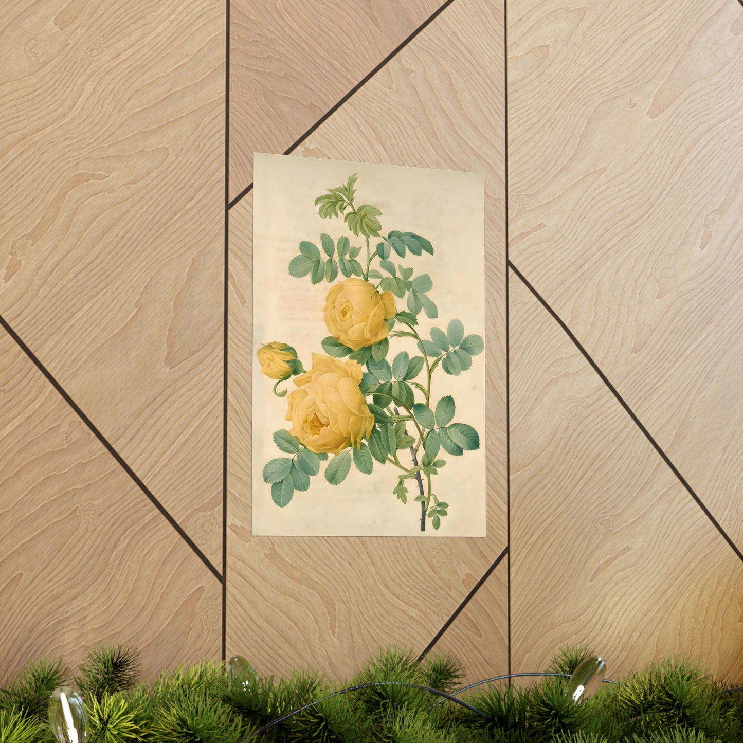Yellow Rose Bush