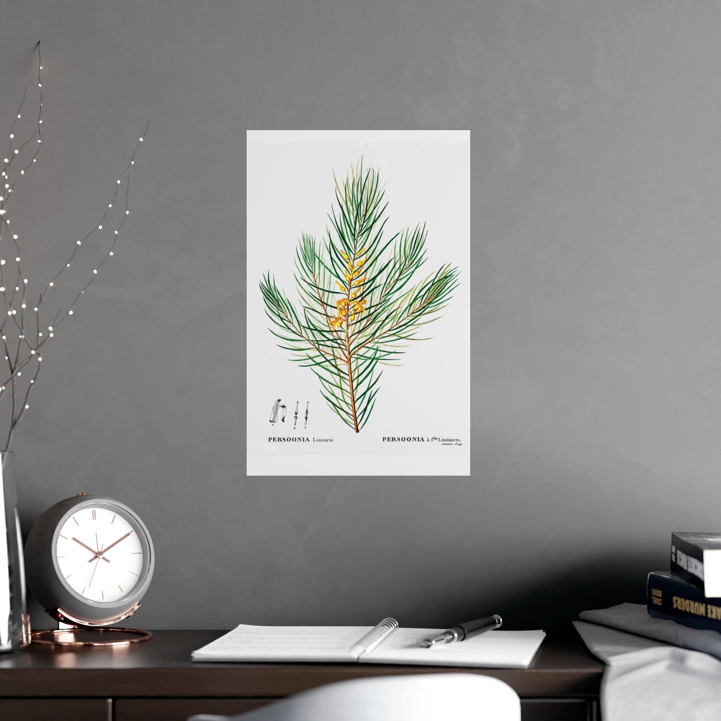Acorn 11
