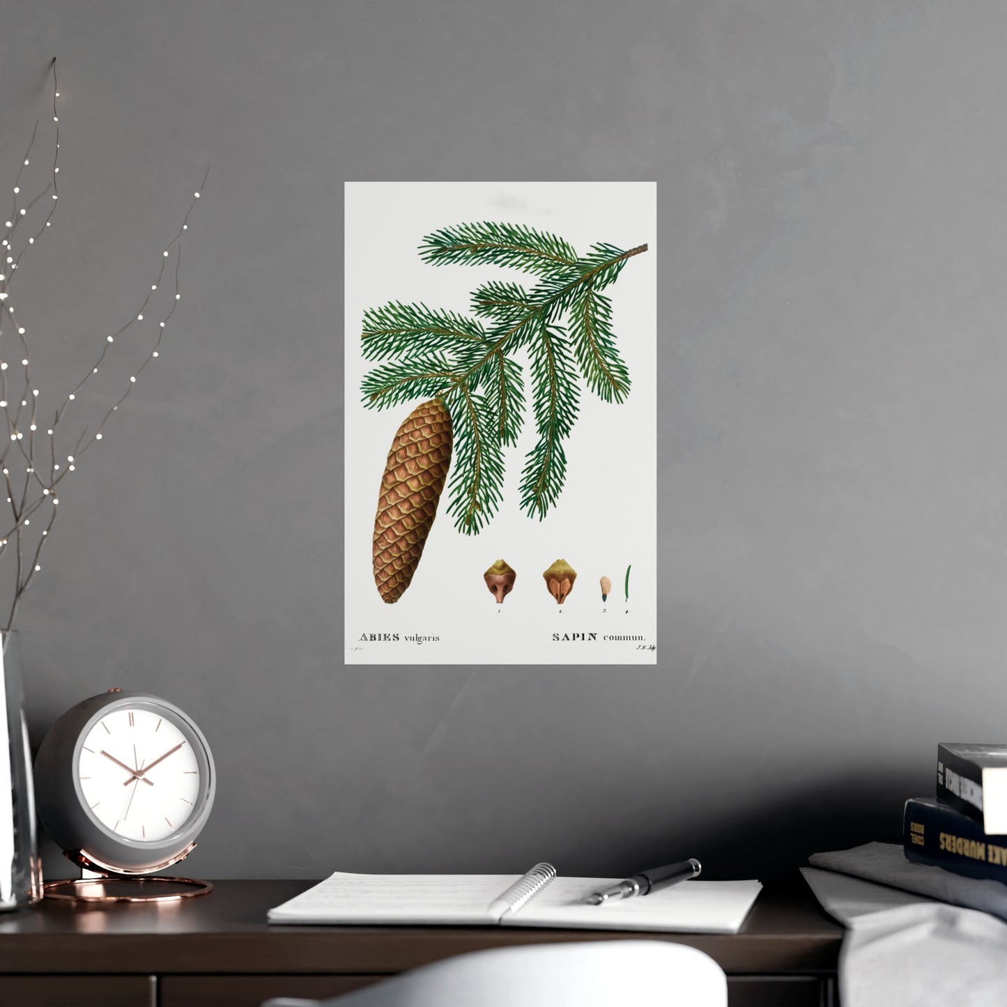 Acorn 3
