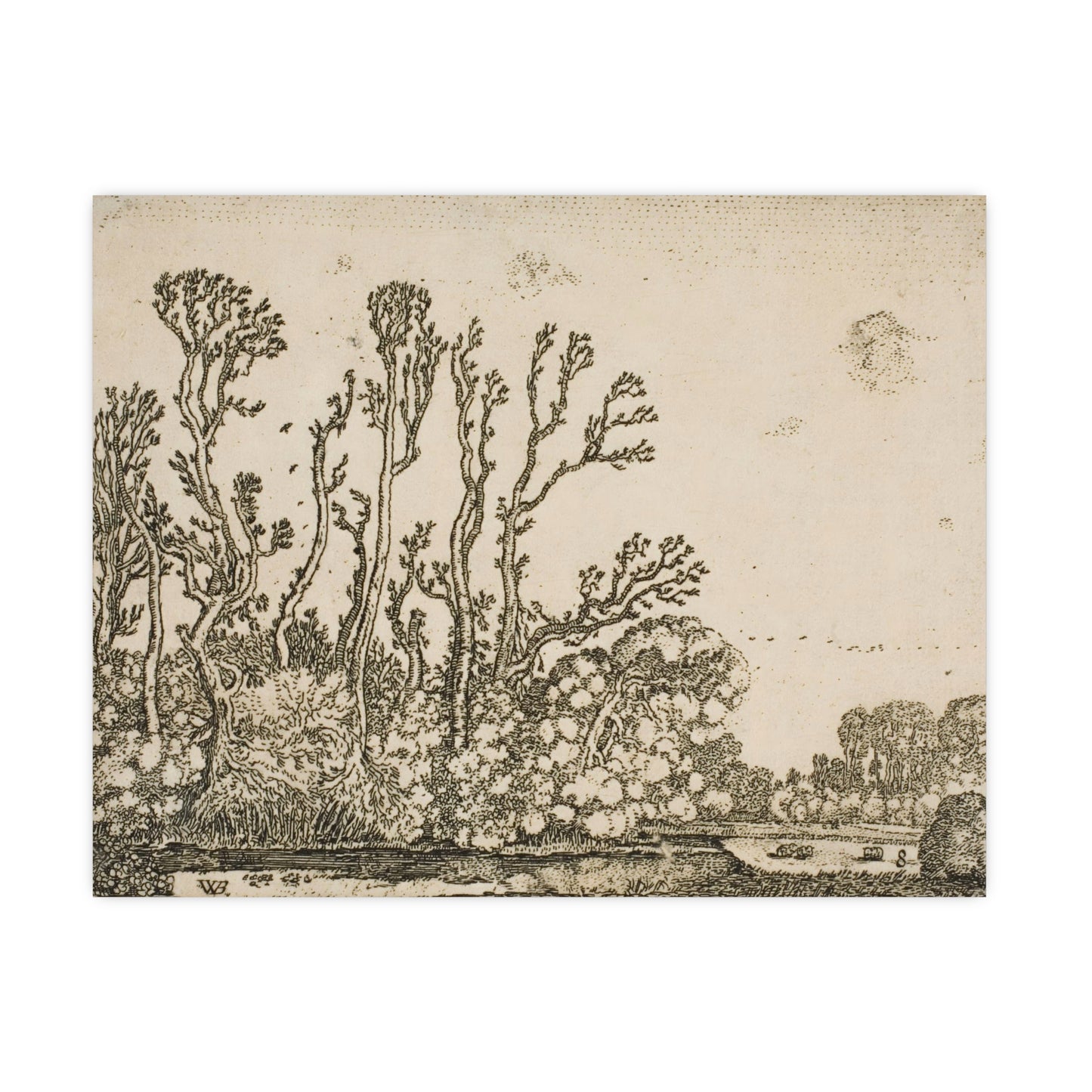 Old Trees Landscape Wall Print