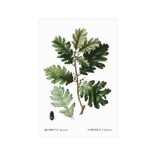 Fall Acorn Wall Art 1