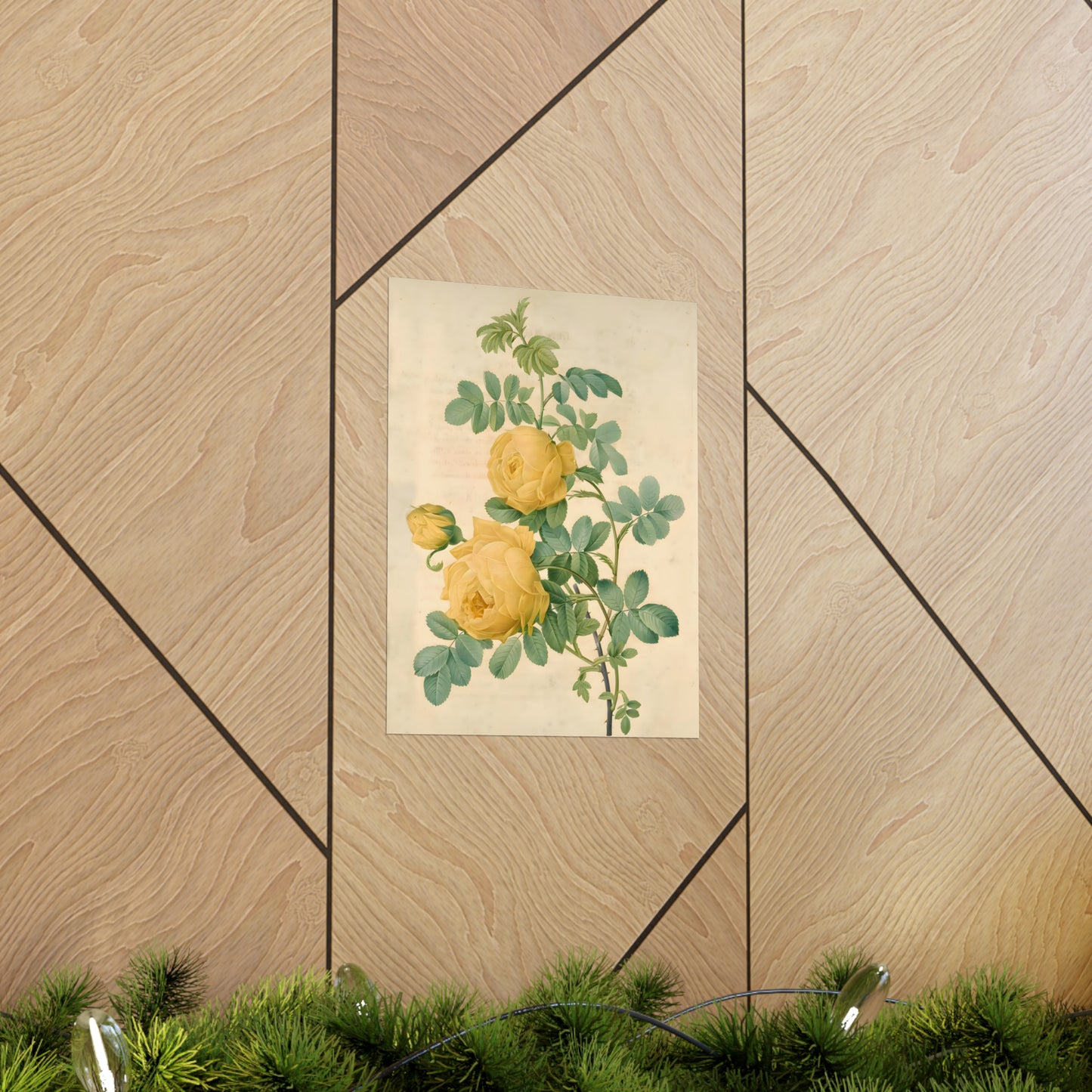 Yellow Rose Bush