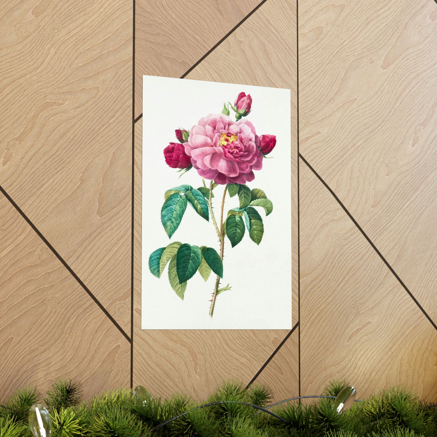 Bright Pink Rose with 2 Buds