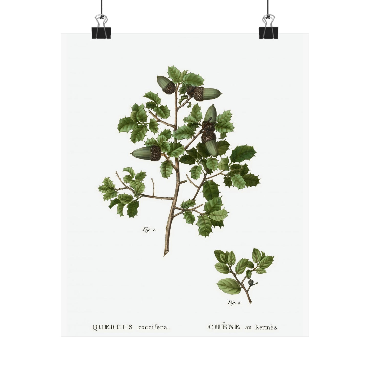 Fall Acorn Wall Art 10