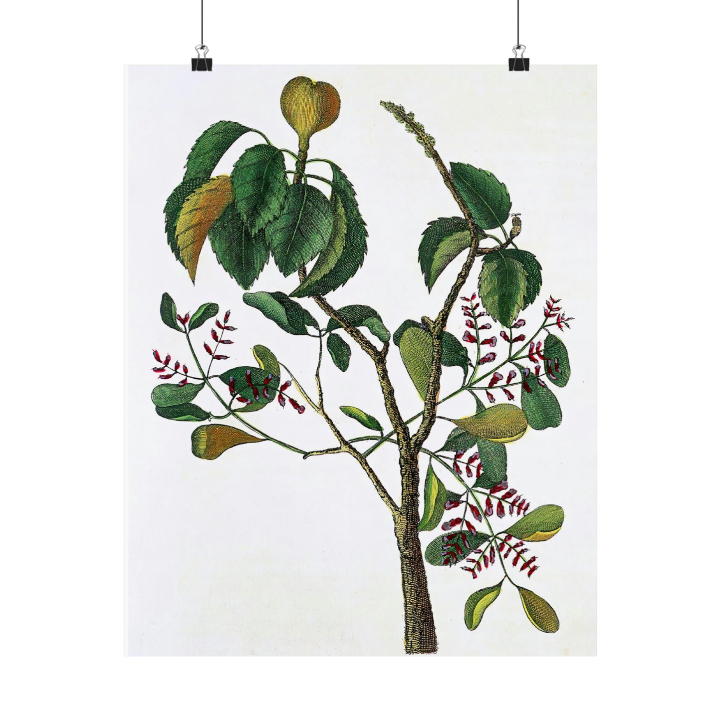 Yellow Tree Branch