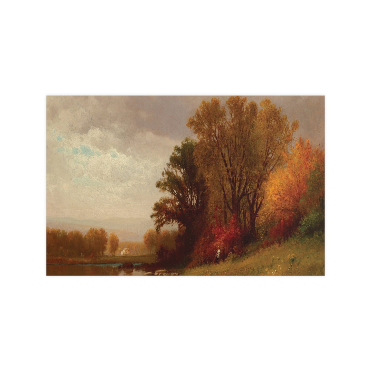 Fall Foliage at Sunset