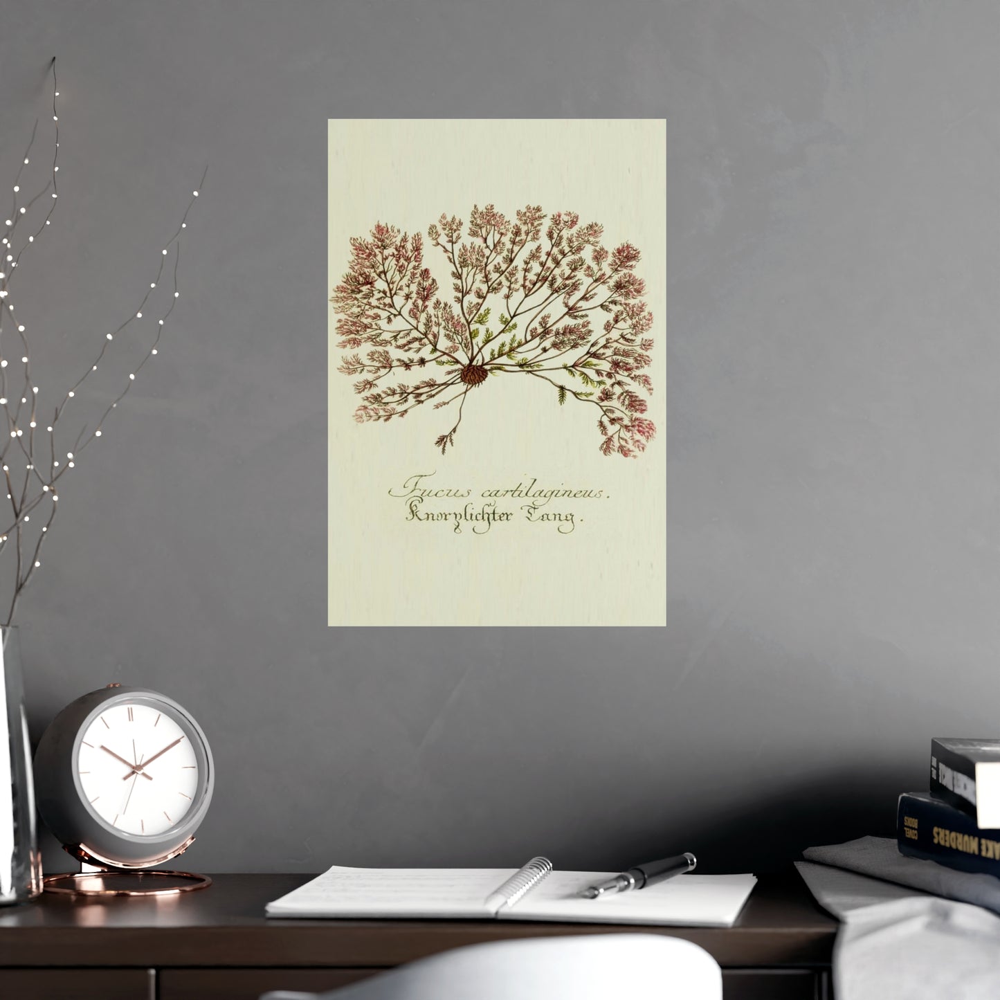 Fucus Wall Art Prints