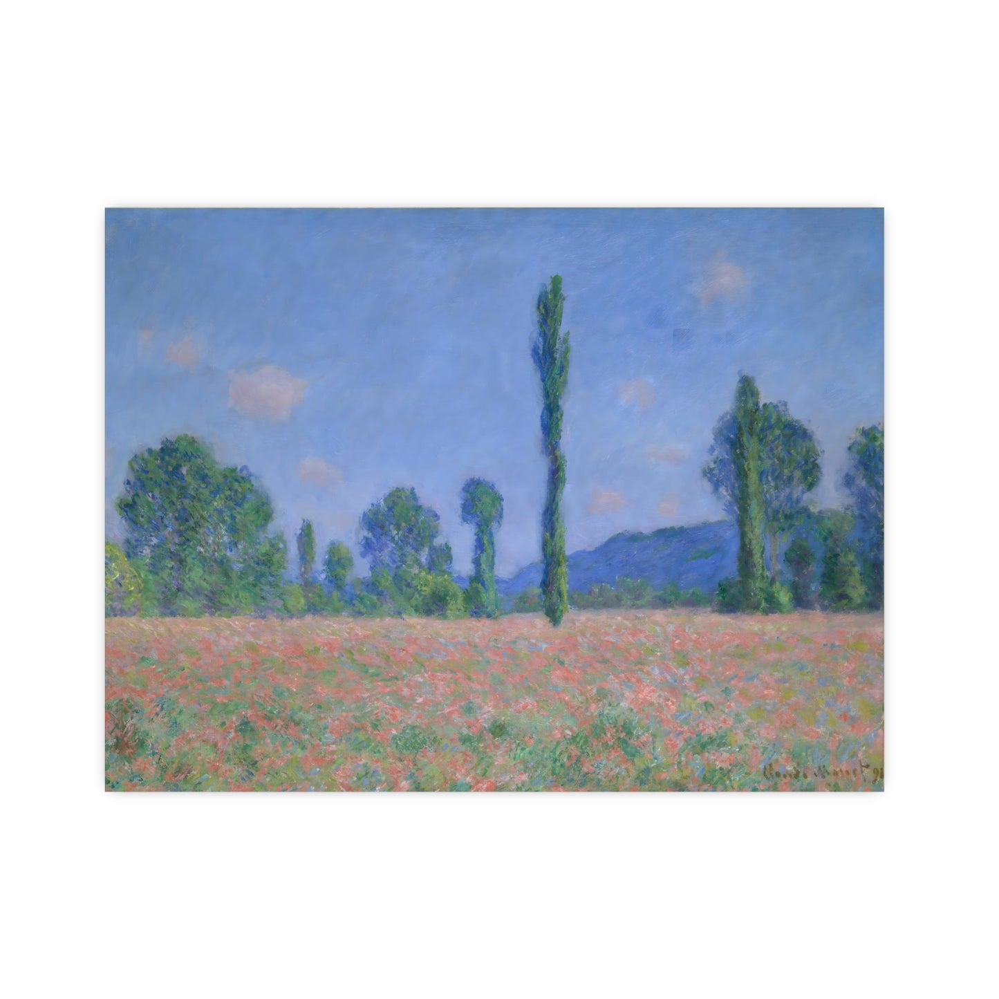 Poppy Field Wall Prints