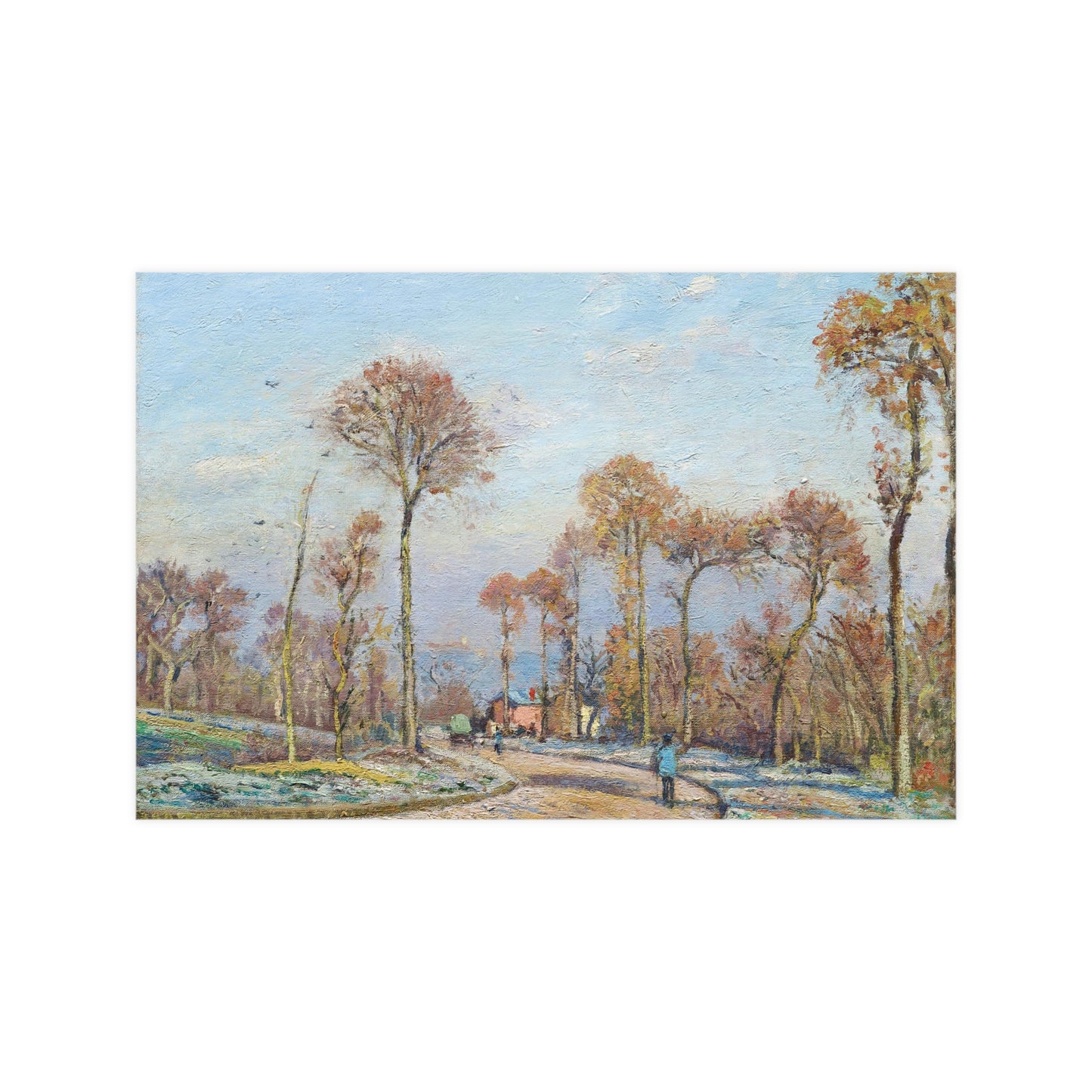 Trees During Fall Season