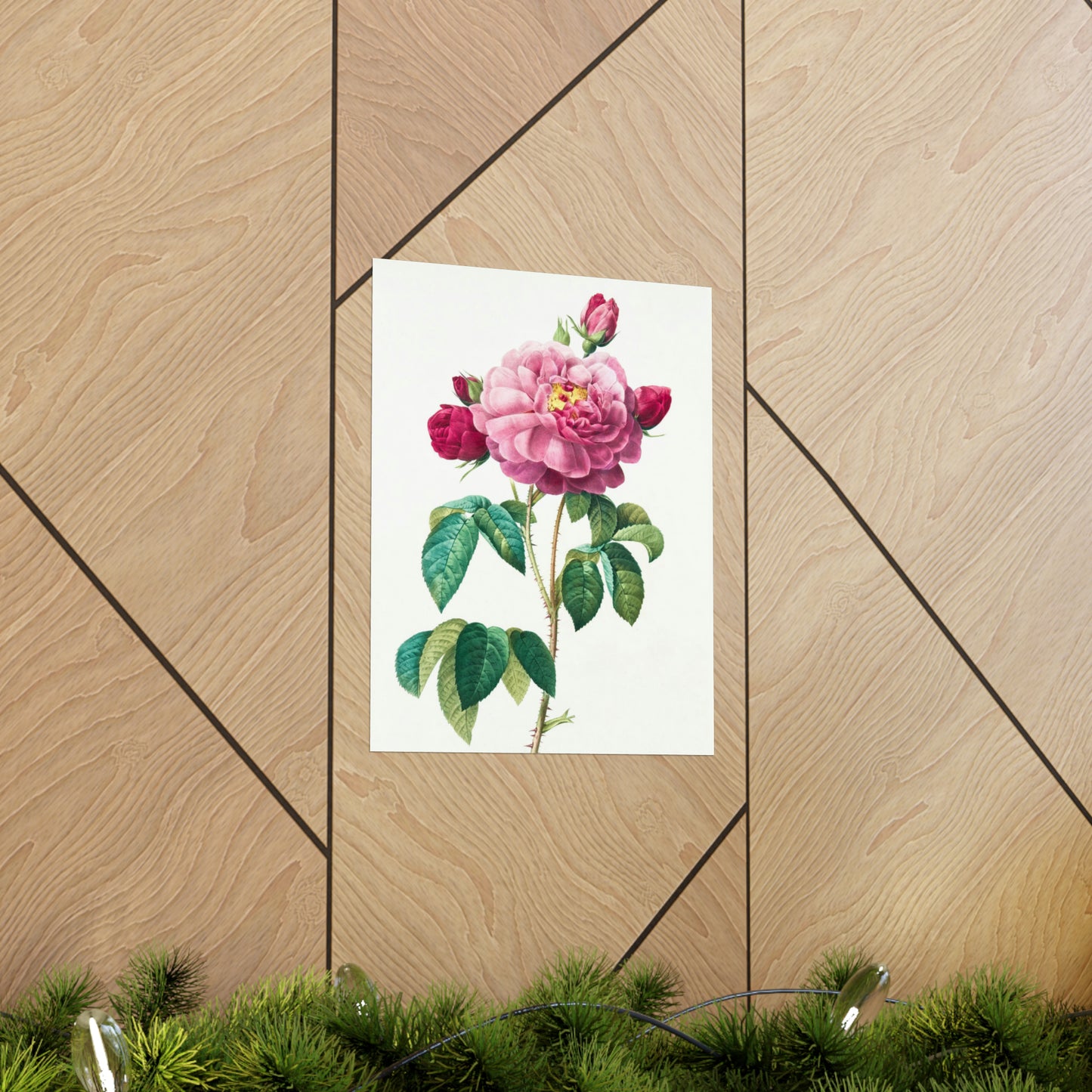 Bright Pink Rose with 2 Buds