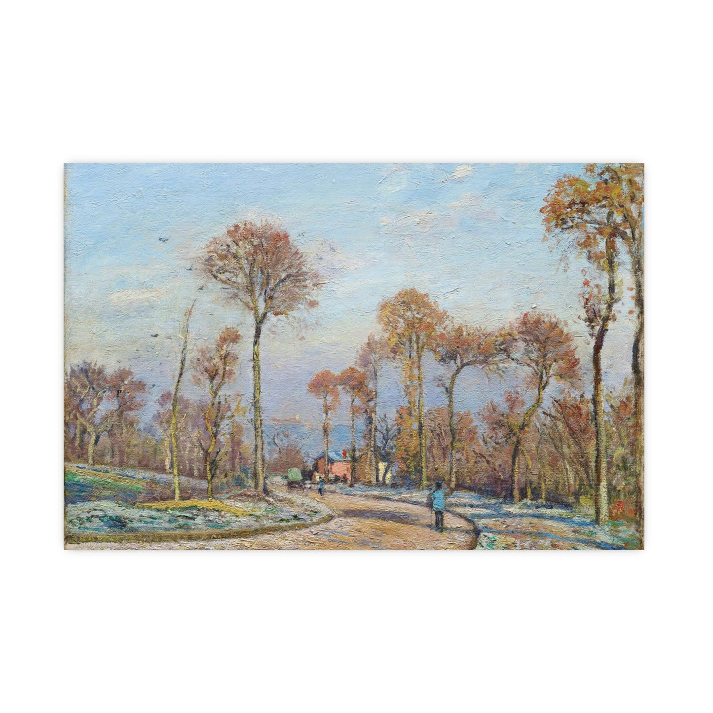 Trees During Fall Season