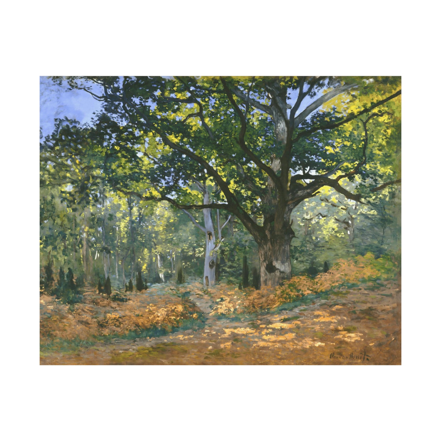 The Bodmer Oak, Fontainebleau Forest
