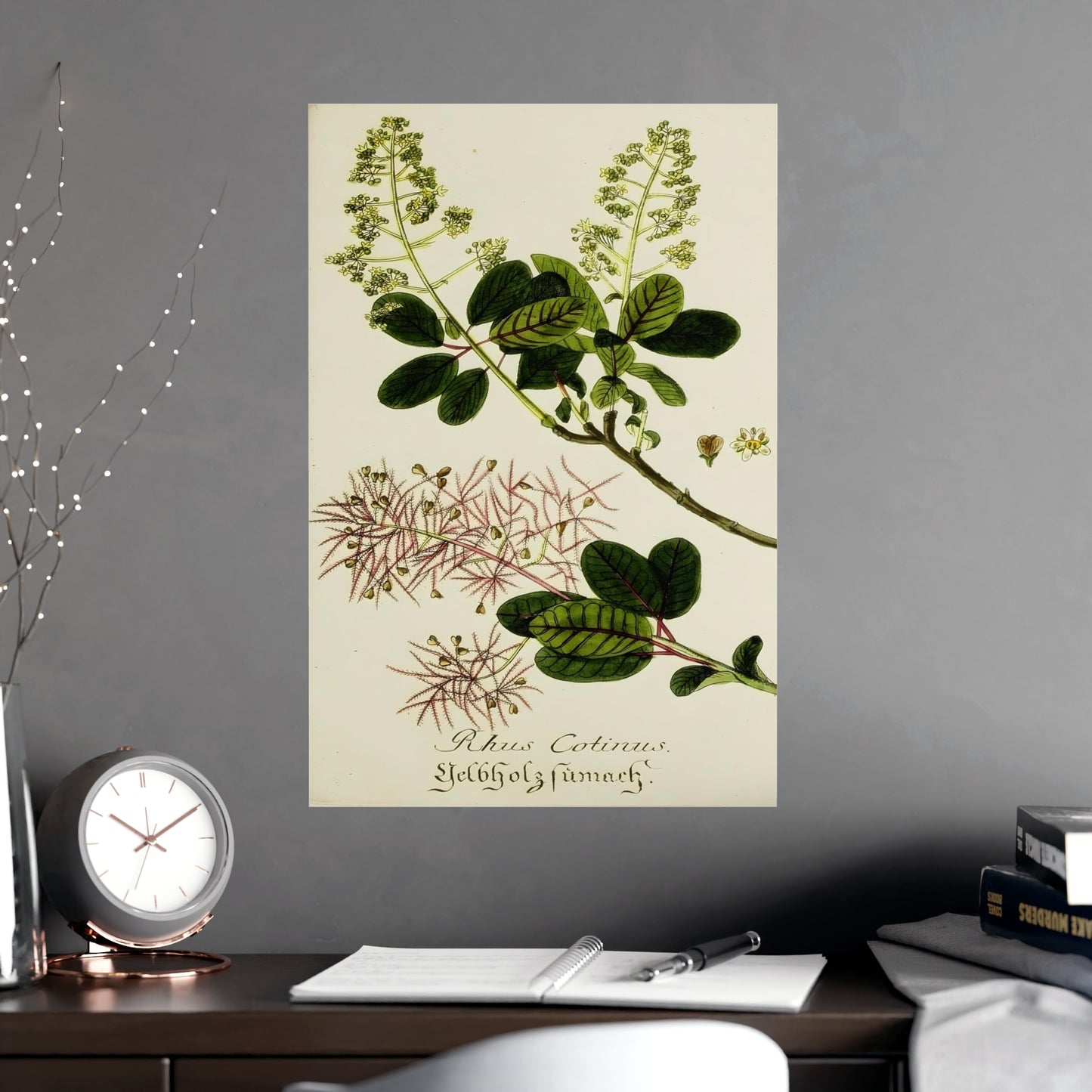Cotinus Wig Tree Wall Art Prints
