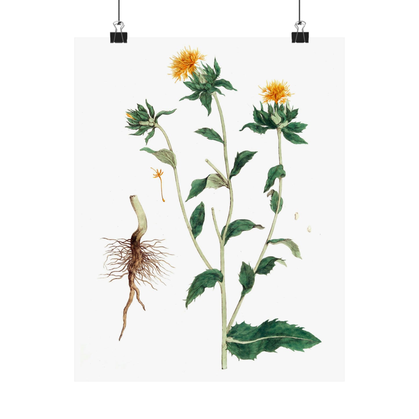 Yellow Floral Stem