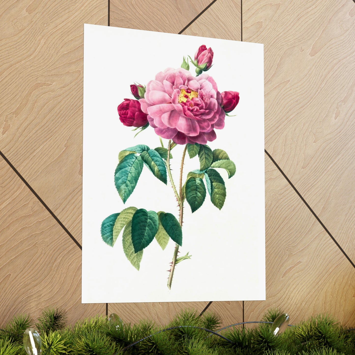 Bright Pink Rose with 2 Buds