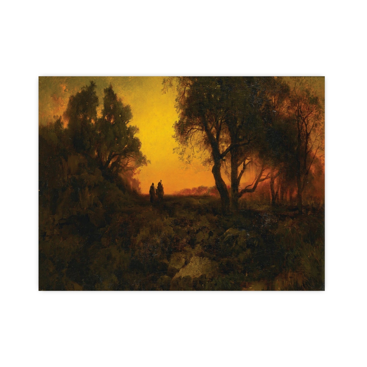 Sunset Over Fall Forest