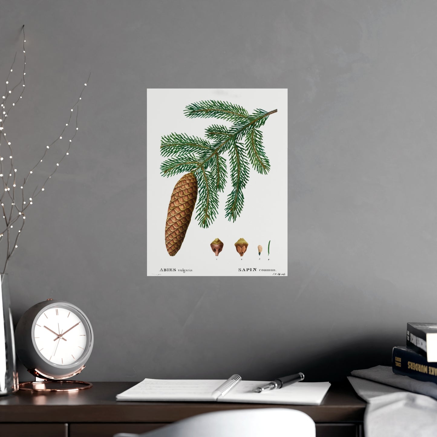 Acorn 3