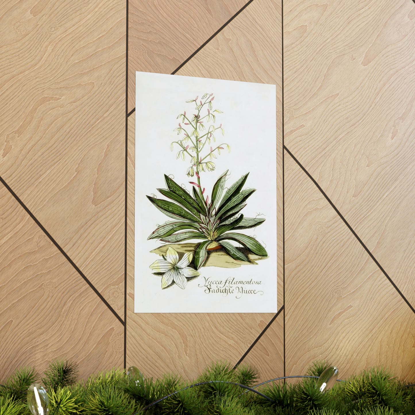 Yucca Filamentosa Flower Wall Print