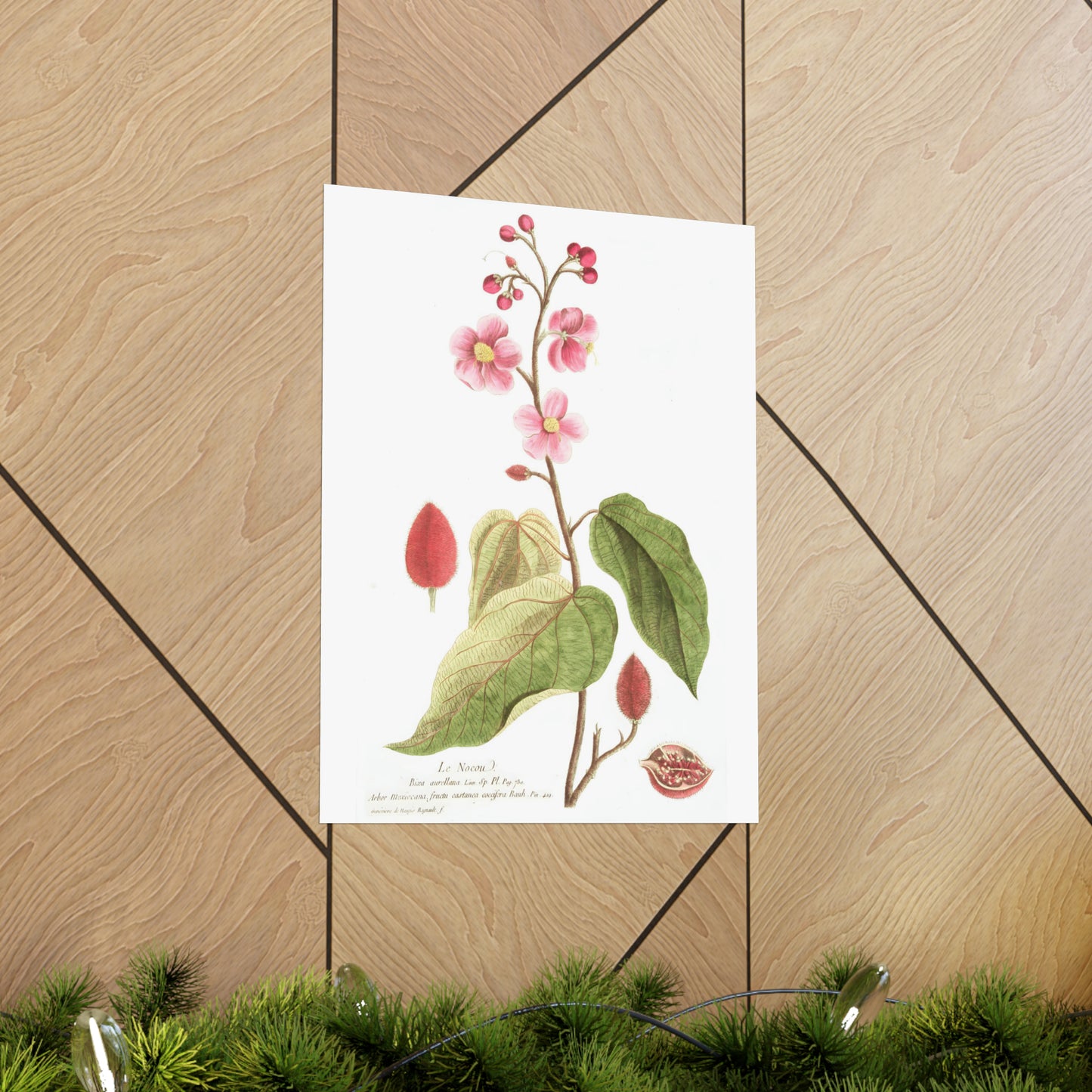 Le Nocou Flower Wall Print