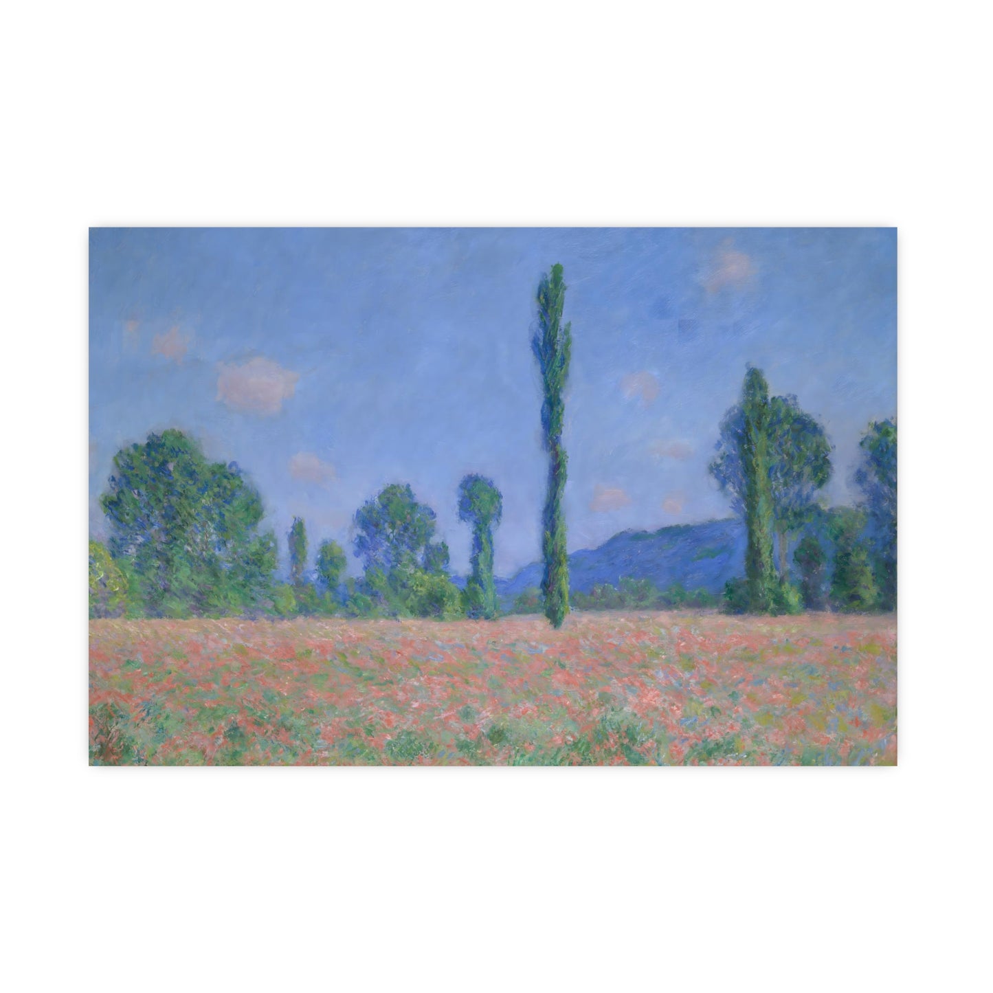 Poppy Field Wall Prints