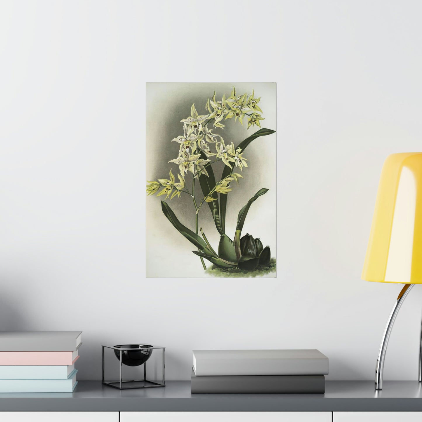 Full Bloom White Orchids Wall Print