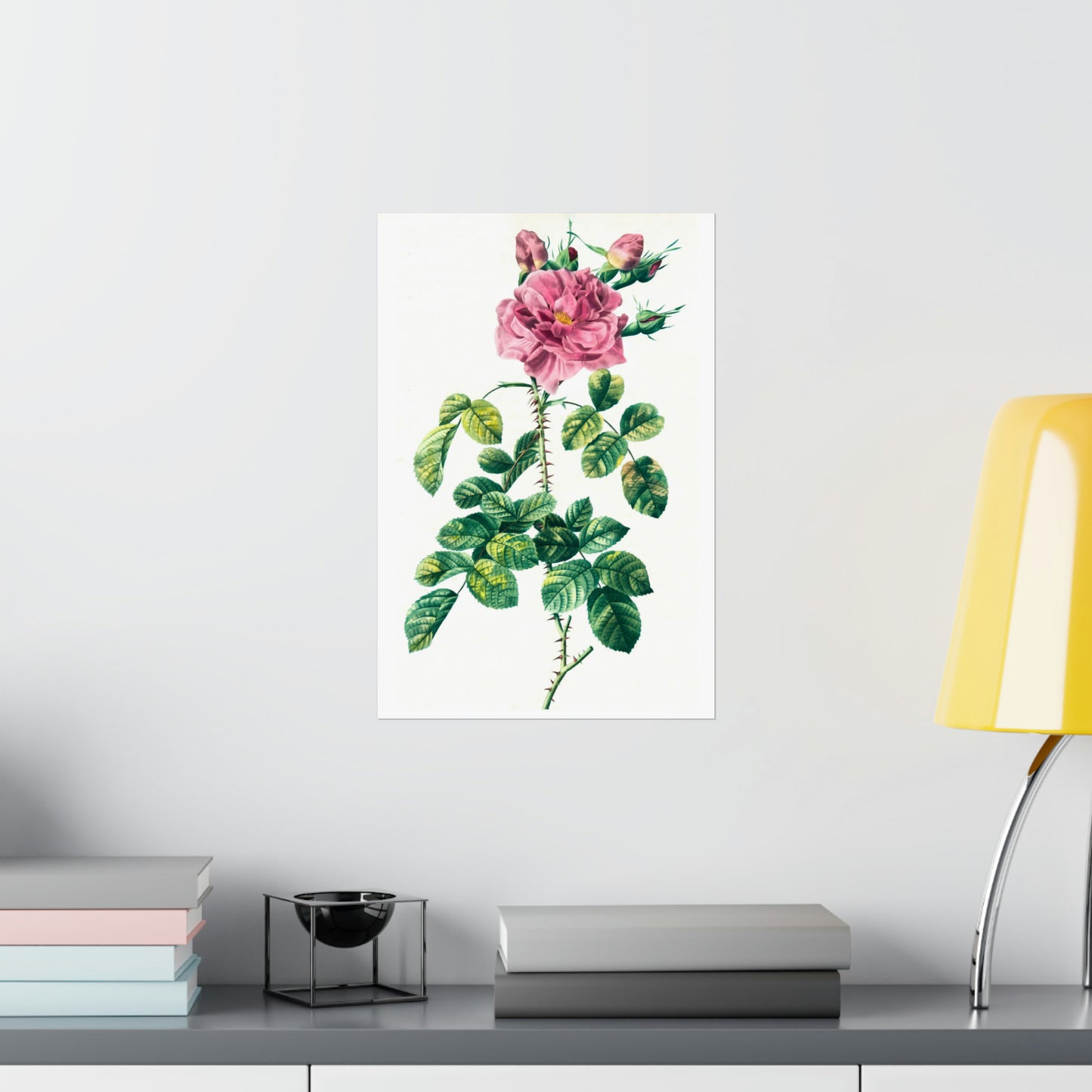 Pink Rose With Rosebuds