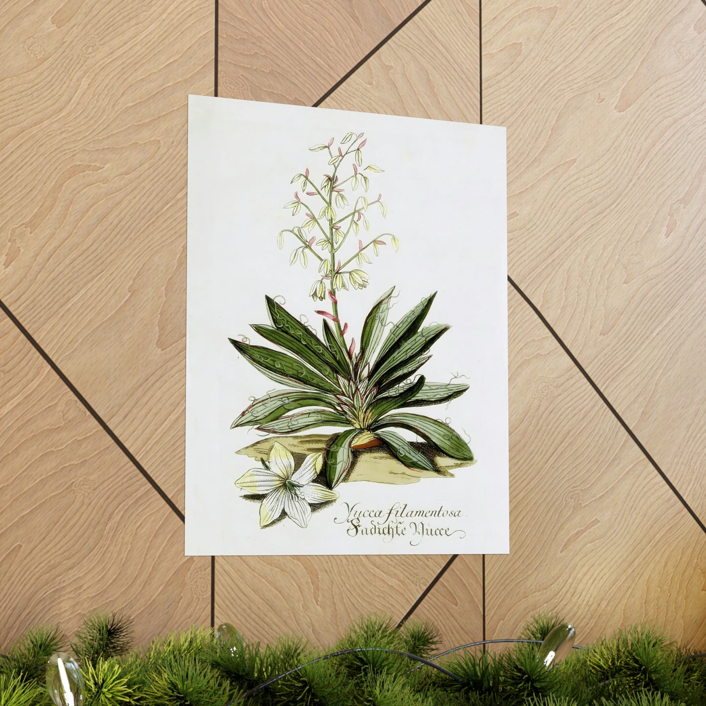 Yucca Filamentosa Flower Wall Print
