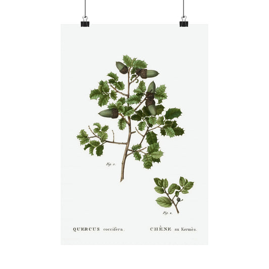 Fall Acorn Wall Art  10